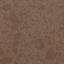 AC495 Acadia Brown